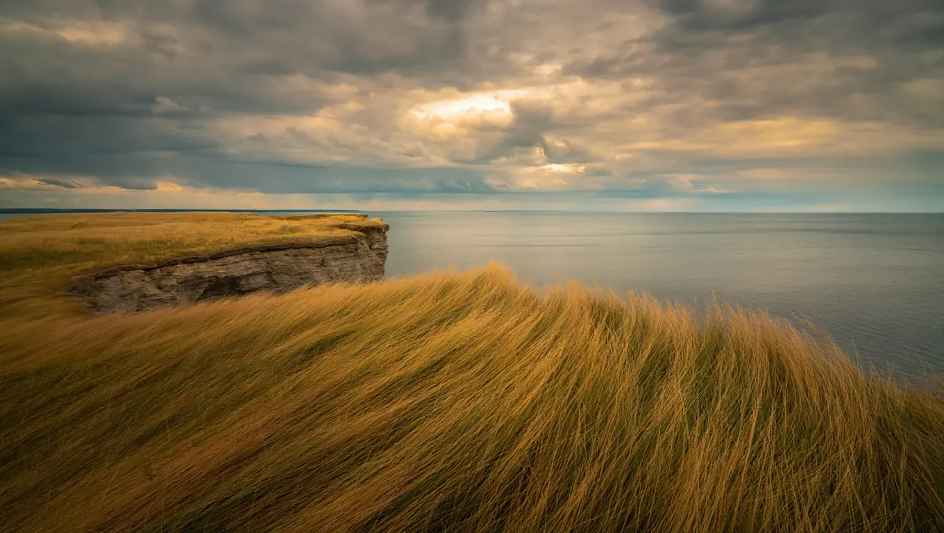 Eesti saar, avarus ja tuul, rannajoon