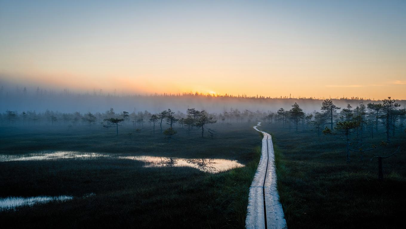 Eesti rahvuspark hommikuudus, metsarada